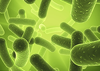 HJC黄金城平台将参加2013年欧洲生物春季展会