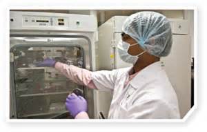 新药研发简介：新瓶装旧酒，浅谈肿瘤动物模型的变迁