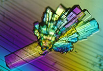 PD-1抑制剂成“抗癌神器”，国内外企业进展如何？