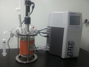 HJC黄金城平台的生物药（抗体）实验室即将投入使用