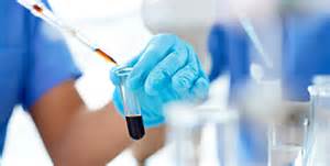 新政后注册申报和审评审批演变