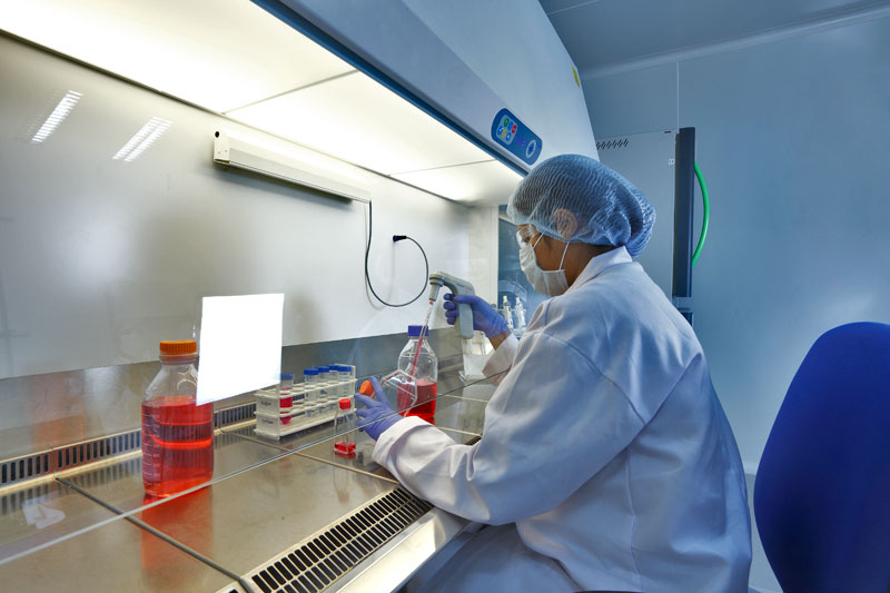 2015年药品特殊审评数据分析：哪些新药搭上了快车？