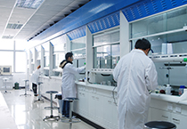 Cancercell：靶向组蛋白甲基酶PRMT1治疗急性髓系白血病