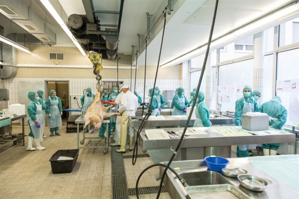 全球医药市场超万亿美元，Top10累计份额超过三成