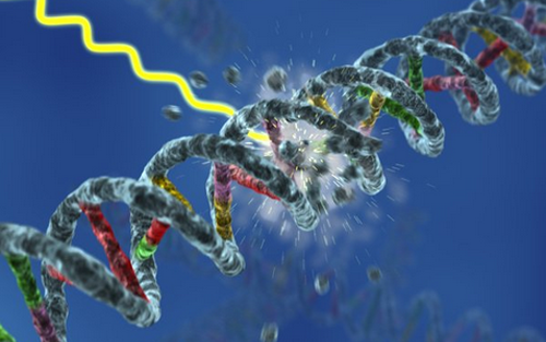 Nature：癌症治疗发现新靶点