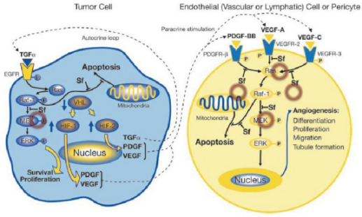 多靶点药物：创新药物设计的重要思路