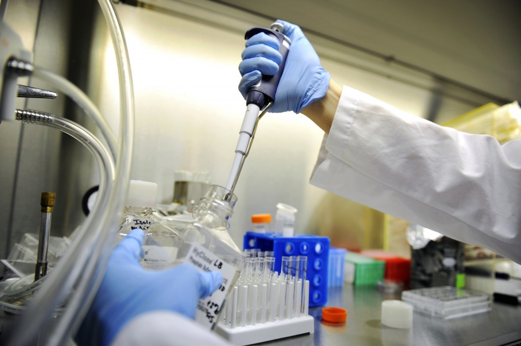 一致性评价需要遵循哪些技术指导原则以及技术要求？