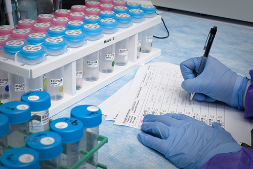 浅谈：创新药物IND申请之药学研究