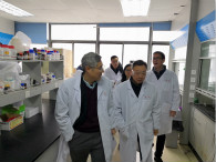 HJC黄金城平台开展办公场所节前安全卫生大检查