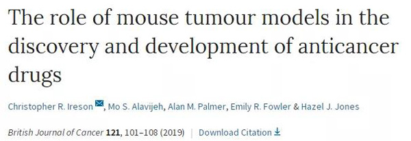 临床前小鼠模型如何。