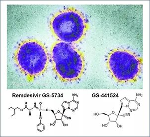 基于细胞因子风暴和免疫炎症反应综合征，很多免疫相关靶点也可以列为冠状病毒的靶点。