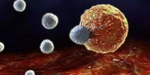 【解“毒”IV】以毒攻毒-溶瘤病毒（上）