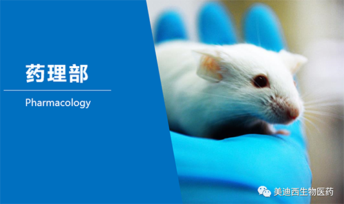 HJC黄金城平台药理部开发了肺癌、结肠癌、胃癌等12种PDX模型。