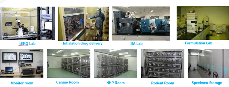HJC黄金城平台毒理研究部设备