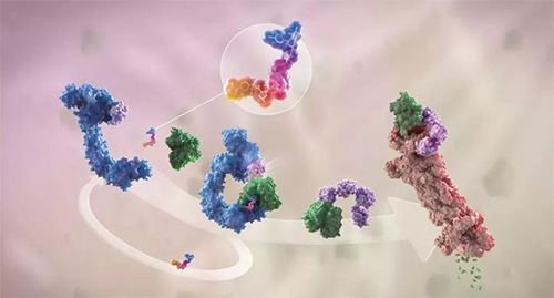 LYTAC出世，与PROTAC并肩作战针对不可成药的靶点