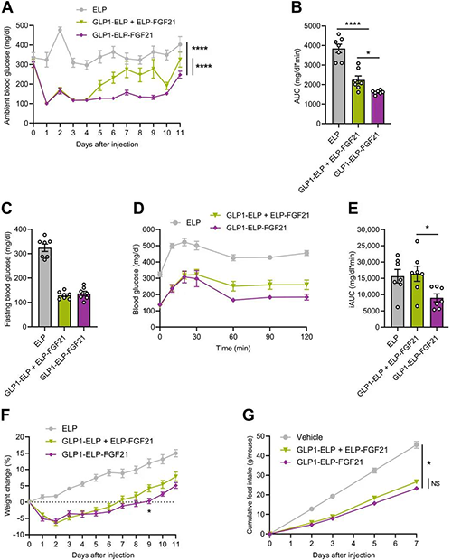 GLP1-ELP-FGF21双激动剂形式在治疗上优于GLP-1 / FGF21单激动剂混合物 HJC黄金城平台