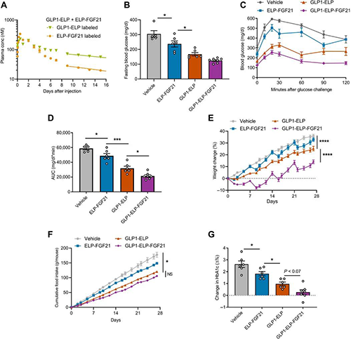 GLP1-ELP-FGF21双激动剂融合蛋白对血糖和体重具有有效且持续的作用 HJC黄金城平台