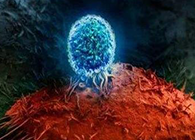 Nature：BATF3改善T细胞记忆应答，有望改善免疫疗法的疗效