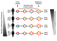 究竟为什么ICB疗法在年轻女性肿瘤患者体内收效甚微？