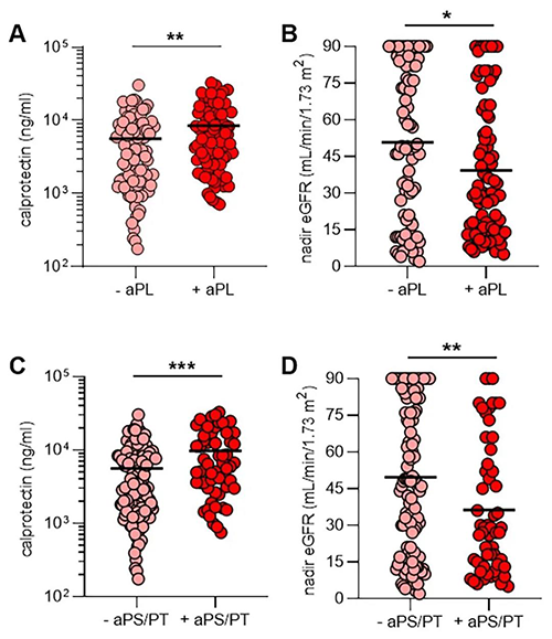aPL抗体、NET释放和肾功能
