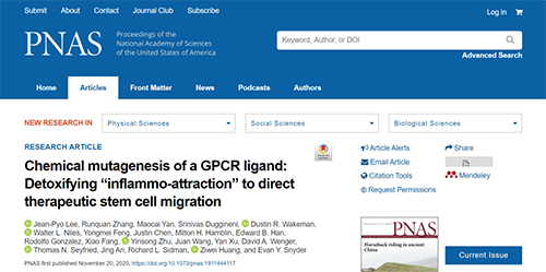 世界首创：药物将干细胞引导至受损部位，提高其愈合能力！