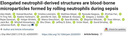 一种神秘颗粒被发现了 ！它能否成为败血症早筛标志物？