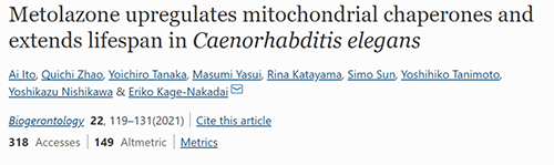 来自日本大阪市立大学的科学家搜索了现有药物的化学“文库”，他们发现一种名为美托拉宗的抗高血压药可延长秀丽隐杆线虫的寿命，标志着抗衰老药物开发的第一步