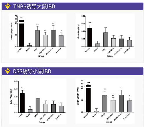 TNBS诱导的大鼠IBD、DSS诱导的大鼠IBD