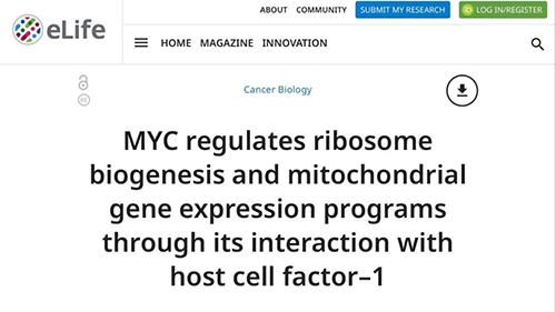 可以“融化”肿瘤的蛋白质，你一定没有听说过！