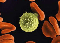 Science子刊：一种FDA批准的抗腹泻药物可有效对抗化疗的耐药性