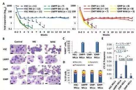 Science子刊：一种FDA批准的抗腹泻药物可有效对抗化疗的耐药性 HJC黄金城平台生物医药