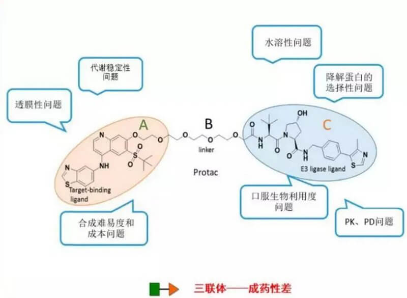 PROTAC分子量较大，溶解性较差.jpg
