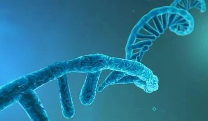 美研丨寡核苷酸药物市场前景、发展挑战及应对策略