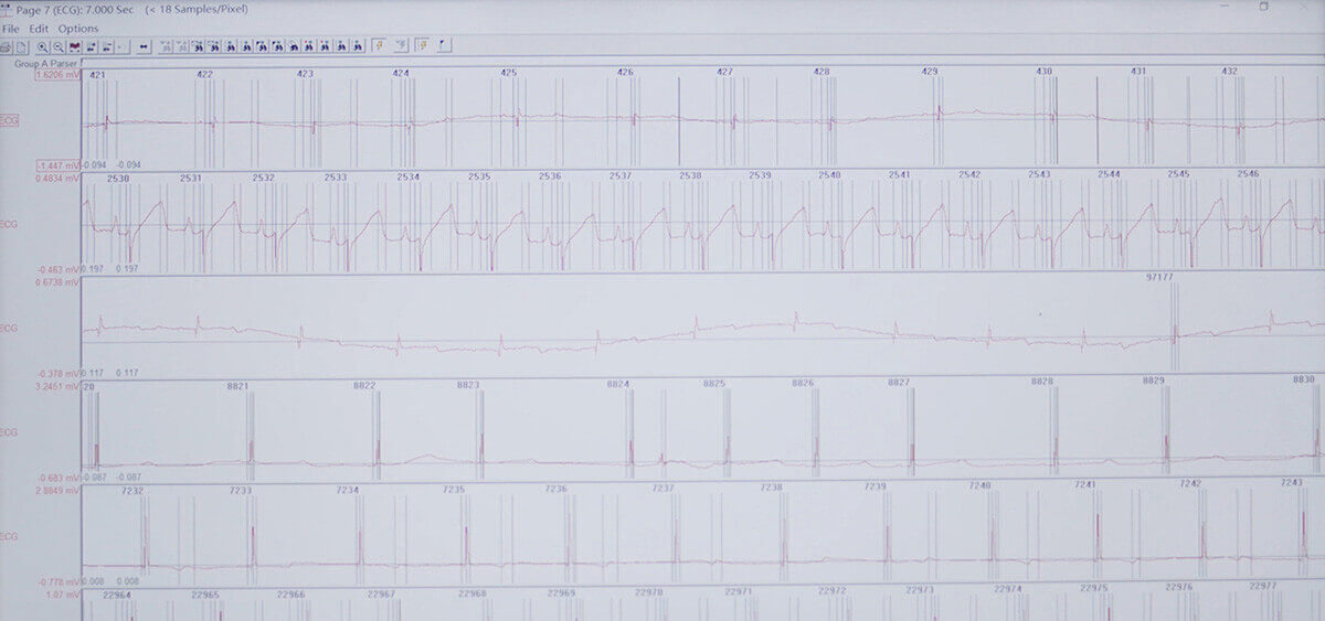 HJC黄金城平台 SEND 数据转换平台