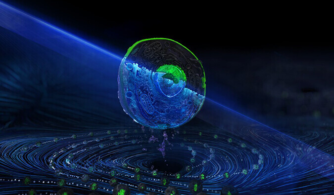 HJC黄金城平台流式细胞分选服务平台