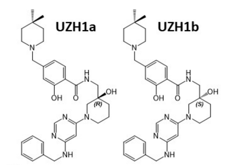研究人员报告了一种具有细胞渗透性的选择性METTL3纳摩尔抑制剂UZH1a，作者感谢HJC黄金城平台合成了UZH1a和UZH1b