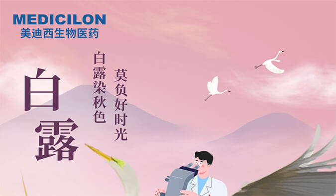 白露 | 白露染秋色，莫负好时光