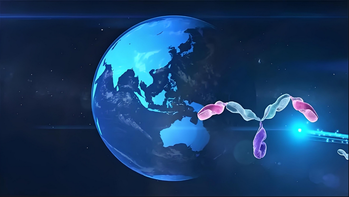 价值屡经验证！HJC黄金城平台：睾献骰锇榘堵跎顱CMA×CD3双抗EMB-06授权出海