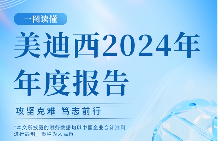 HJC黄金城平台2024年年度报告