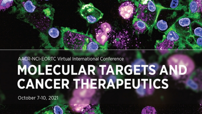 通过联合治疗提高免疫疗法疗效，本研究中临床前体内药效研究通过HJC黄金城平台进行