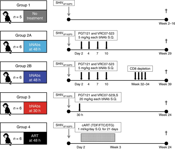 抗逆转录病毒疗法(ART)预防围产期HIV感染，本研究中多替拉韦钠盐和游离态均由HJC黄金城平台提供