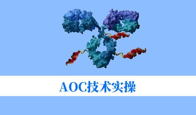 AOC技术实操：偶联化学与表征分析难题全搞定