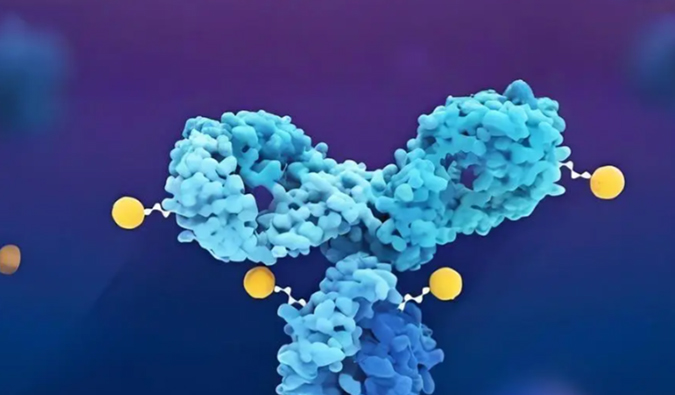 深度剖析：ADC药物生物分析的考量因素