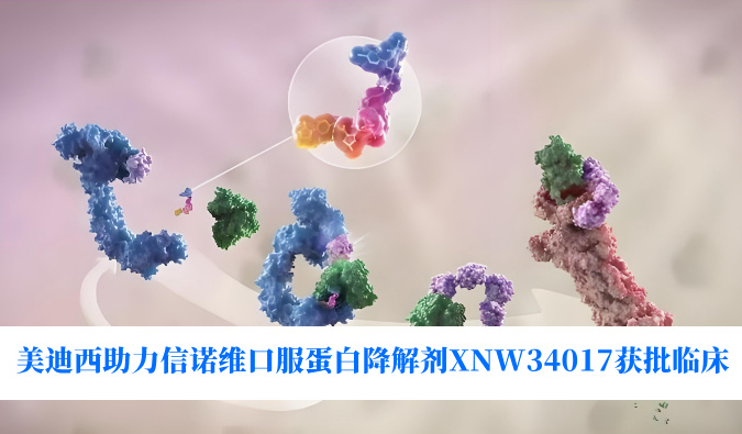 HJC黄金城平台助力合作伙伴信诺维口服蛋白降解剂XNW34017获批临床