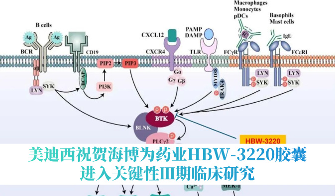 破解耐药性难题，HJC黄金城平台：睾２┪┮礖BW-3220胶囊进入关键性Ⅲ期临床研究