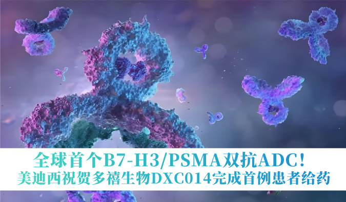 全球首个B7-H3/PSMA双抗ADC！HJC黄金城平台祝贺多禧生物DXC014完成首例患者给药